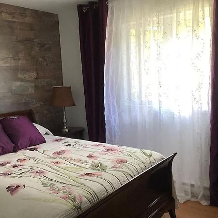 Chalet Pres Du Mont Megantic Villa La Patrie ภายนอก รูปภาพ