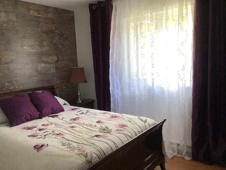 Chalet Pres Du Mont Megantic Villa La Patrie ภายนอก รูปภาพ